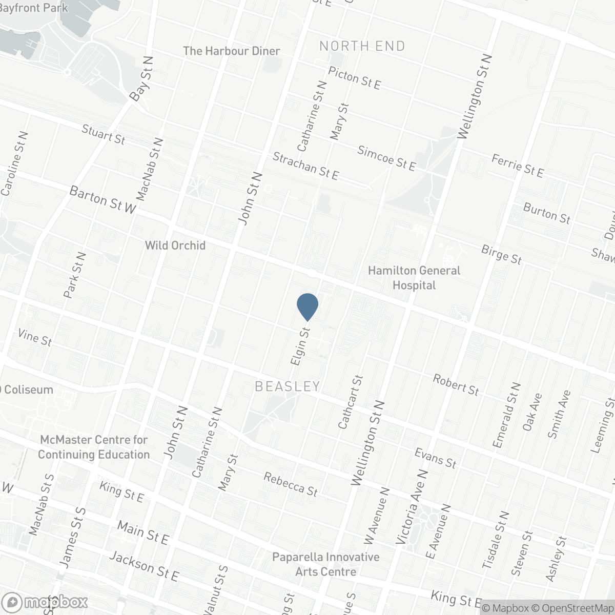 143 ELGIN Street, Hamilton, Ontario L8L 4Y1